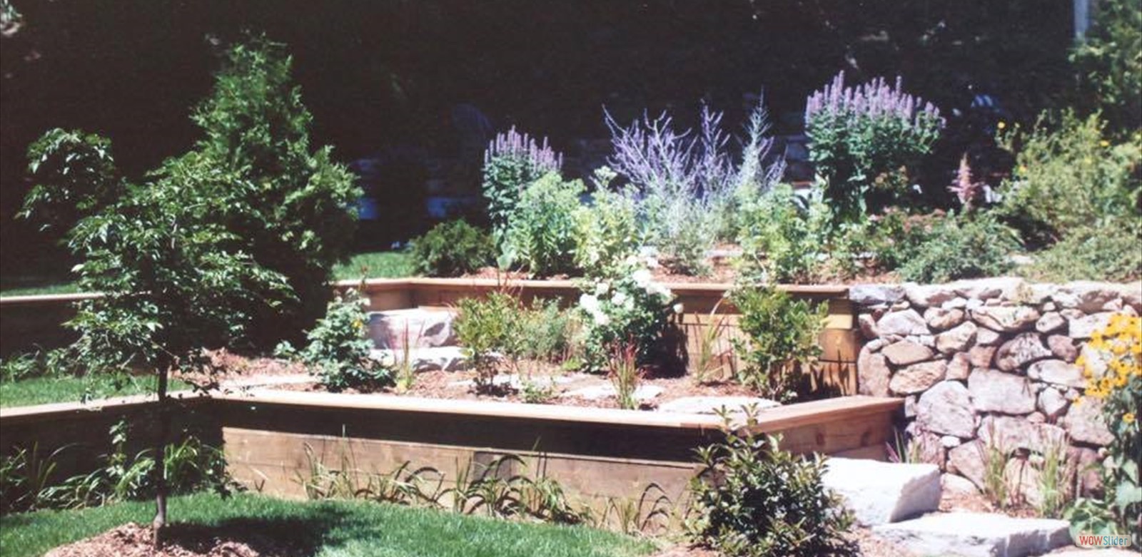 12179287_845293532258677_978009587_n